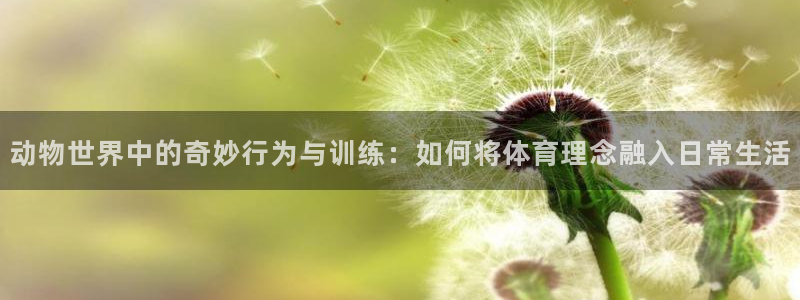 火凤体育官网：动物世界中的奇妙行为与训练：如何将体育理念融入日常生活