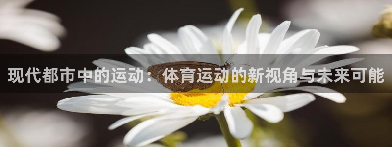 火凤体育