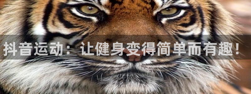 火凤体育免费直播nba