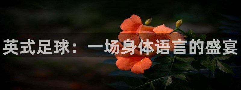 火凤体育赛事直播