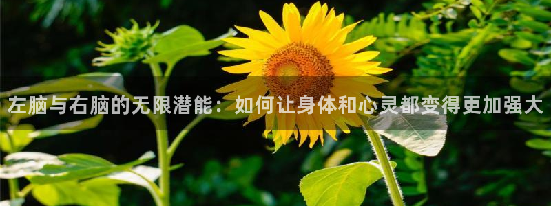 火凤体育v1211.官网打开游戏.org/