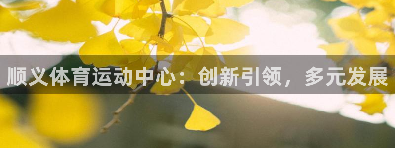 火凤体育：顺义体育运动中心：创新引领，多元发展